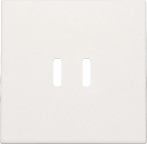 Niko Afwerkingsset voor dubbele smart USB-C-lader, white - 101 68003 - 20196641