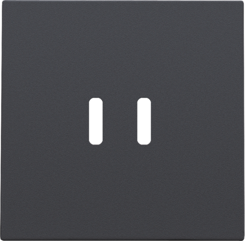 Niko Afwerkingsset voor dubbele smart USB-C-lader, anthracite coated - 122 68003 - 20196644