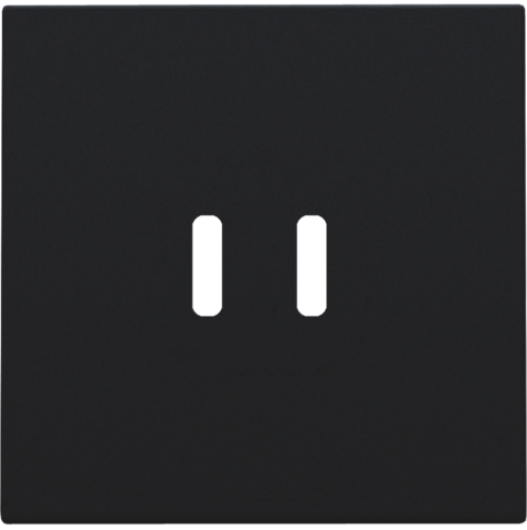 Niko Afwerkingsset voor dubbele smart USB-C-lader, black coated - 161 68003 - 20196649