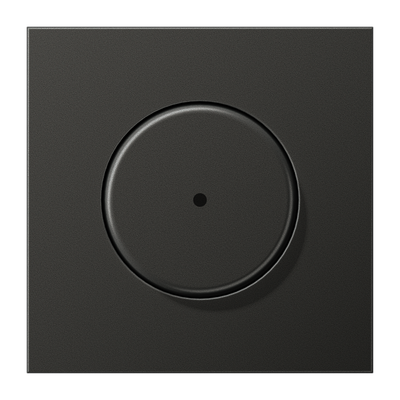 Jung Schakelklok - 4011377157569 - 20016478