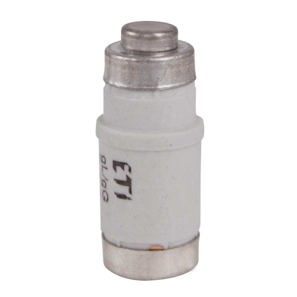 ETI Zekering 400V~ 63A D02 - 416600090 - 20000087