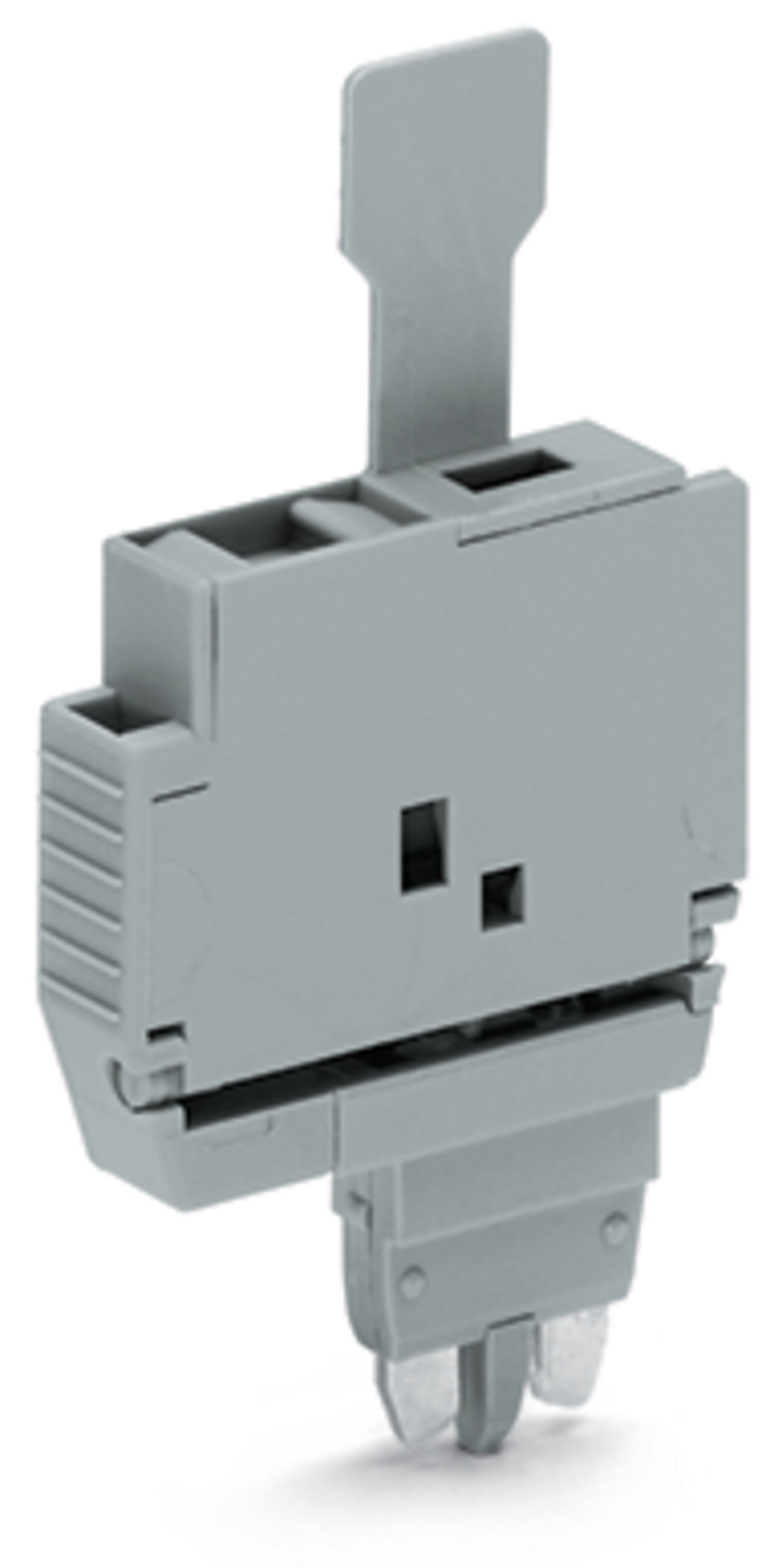 WAGO zekeringsteker met lip voor 5x20 en 5x25 2004-911 - 532c917c d70a 41b8 a91a d24306a8b5d0 - 11002415