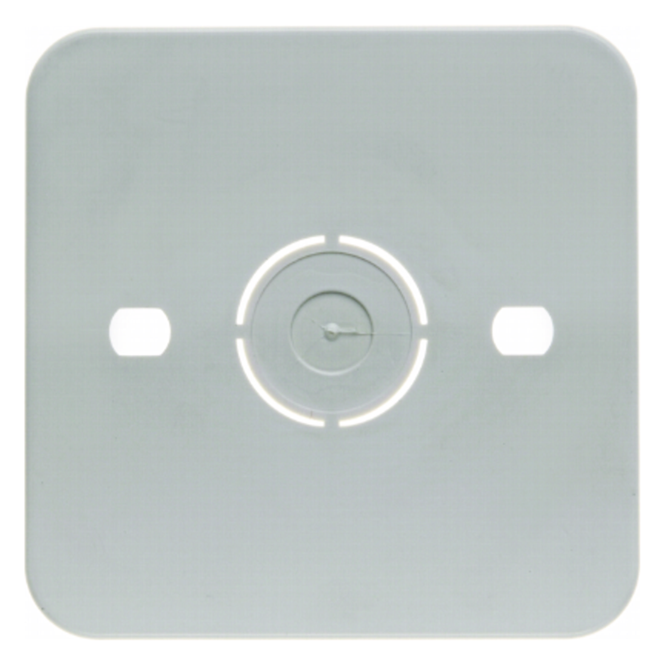 BERKER montageplaat trekschakelaar wit 105250 - 647ce0128b55902d611288b20f57439e - 11006574