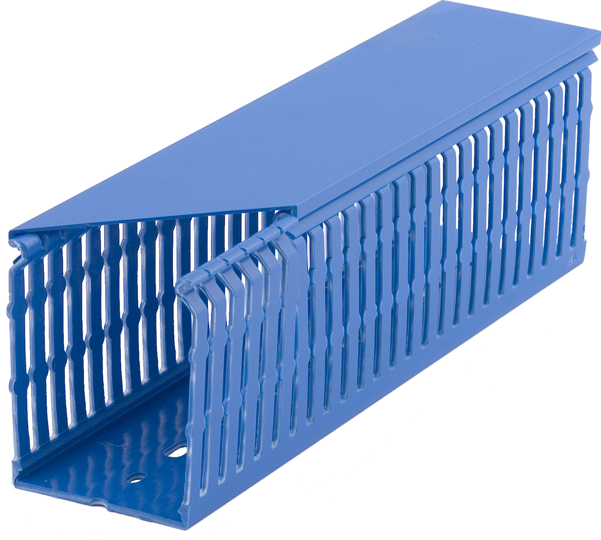 CANALIT bedradingskoker 40x60 blauw a2mtr M6V 40/60 B 2M - 966120 - 11000094