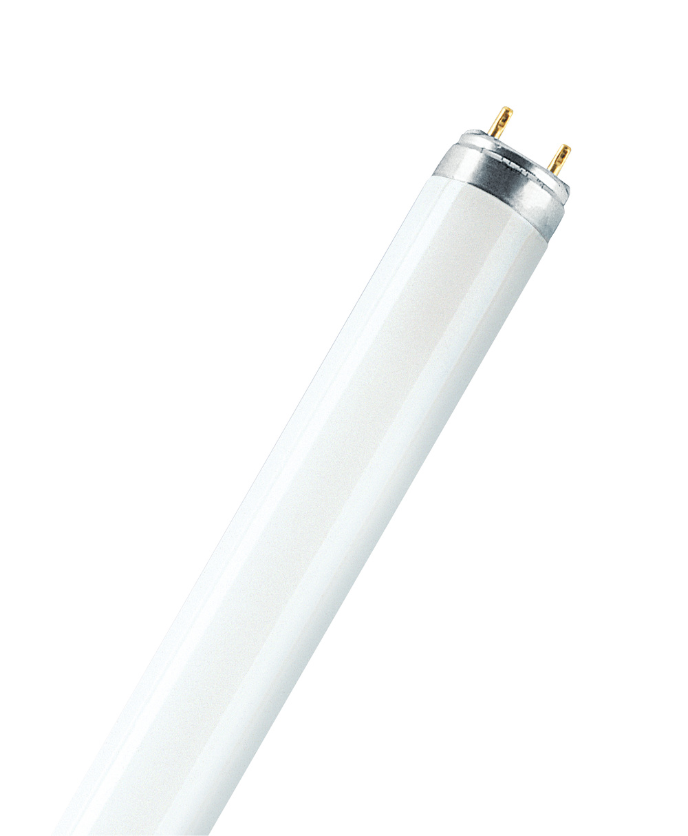 OSRAM lumilux tlbuis 16w 840 t8 L16840 - Asset 283645 - 11000237