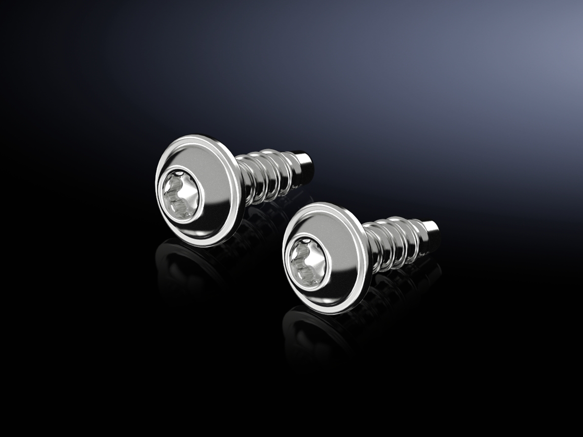 RITTAL ax schroeven 5x14mm a50st 1485.300 - Fri190433195 - 1524918