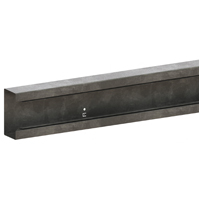 Legrand Wandgoot 130x63mm L2000mm zink - Lg 351005 web r - 20039032