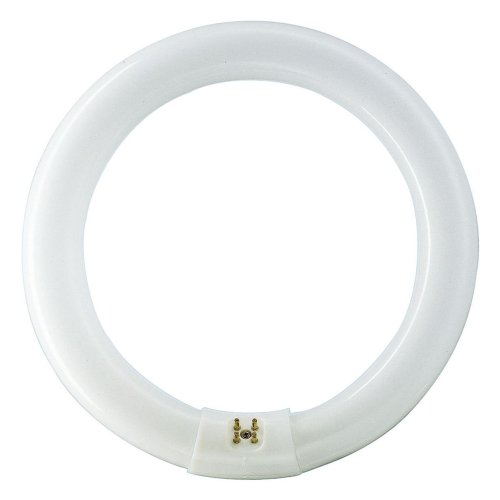 PHILIPS tl buis rond tl5c 22w/840 - 018bda17957a34676ef1e7fe92815cde - 11002823