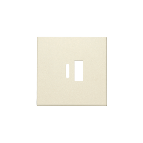Niko Afwerkingsset voor dubbele smart USB-A- en USB-C-lader, cream - 100 68002 foto - 20054724