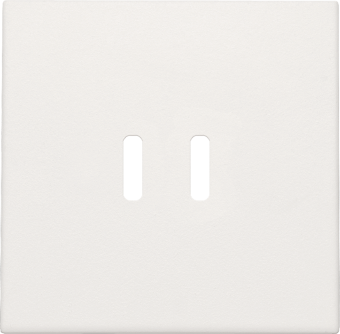 Niko Afwerkingsset voor dubbele smart USB-C-lader, white - 101 68003 - 20196641