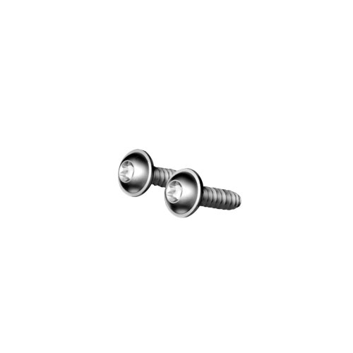 Rittal RX bevestigingsschroef 22x5,5 VE=50 - 1081px fri2519189095 - 20136928