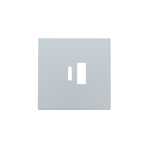 Niko Afwerkingsset voor dubbele smart USB-A- en USB-C-lader, sterling coate - 121 68002 foto - 20054980