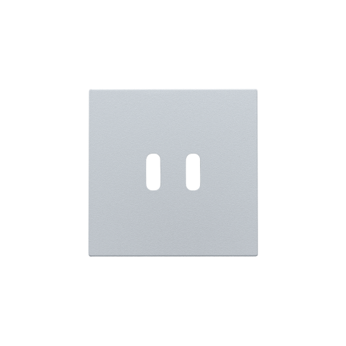 Niko Afwerkingsset voor dubbele smart USB-C-lader, sterling coated - 121 68003 foto - 20196643