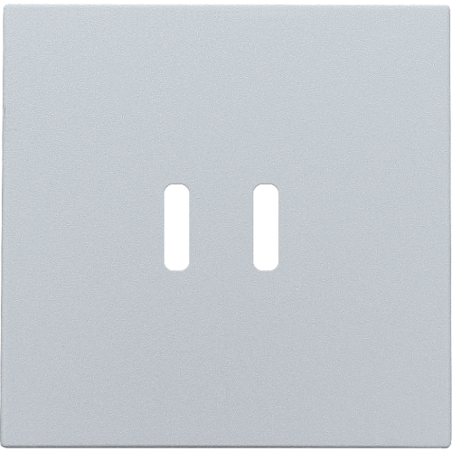 Niko Afwerkingsset voor dubbele smart USB-C-lader, sterling coated - 121 68003 image - 20196643