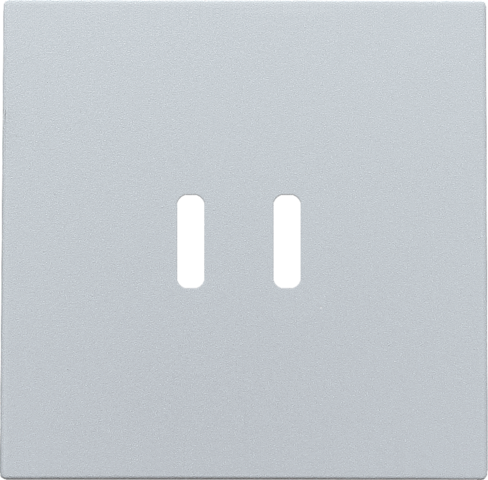 Niko Afwerkingsset voor dubbele smart USB-C-lader, sterling coated - 121 68003 - 20196643