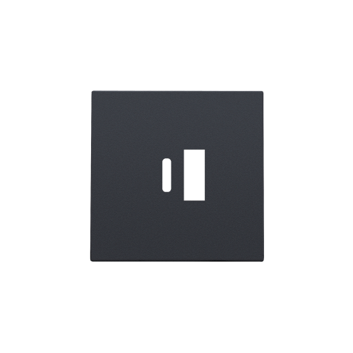 Niko Afwerkingsset voor dubbele smart USB-A- en USB-C-lader, anthracite coa - 122 68002 foto - 20055031