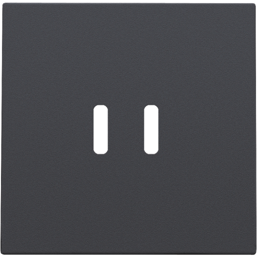 Niko Afwerkingsset voor dubbele smart USB-C-lader, anthracite coated - 122 68003 image - 20196644