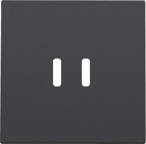 Niko Afwerkingsset voor dubbele smart USB-C-lader, anthracite coated - 122 68003 - 20196644