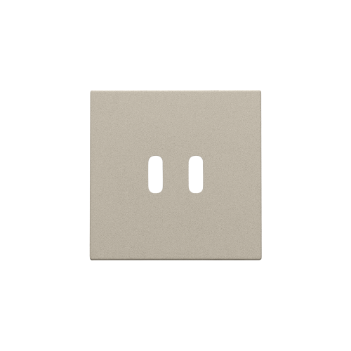 Niko Afwerkingsset voor dubbele smart USB-C-lader, champagne coated - 157 68003 foto - 20196648