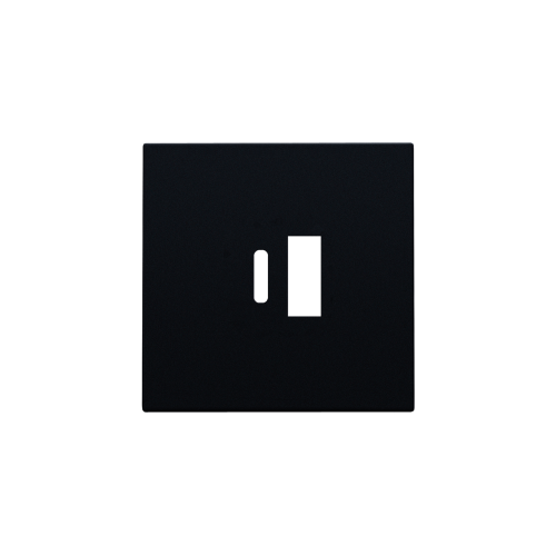 Niko Afwerkingsset voor dubbele smart USB-A- en USB-C-lader, black coated - 161 68002 foto - 20055336