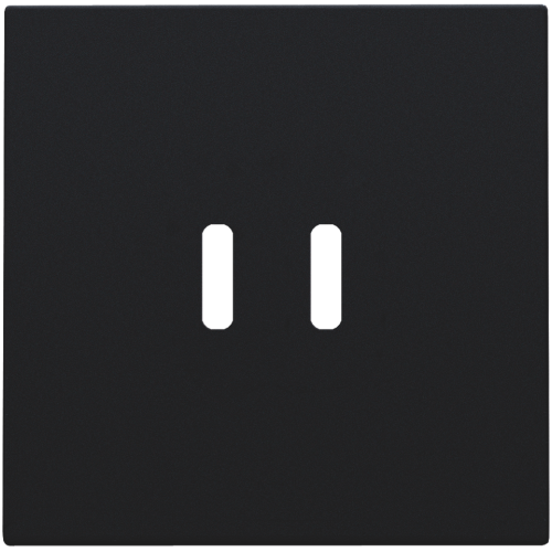 Niko Afwerkingsset voor dubbele smart USB-C-lader, black coated - 161 68003 image - 20196649