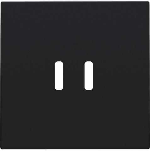 Niko Afwerkingsset voor dubbele smart USB-C-lader, black coated - 161 68003 - 20196649