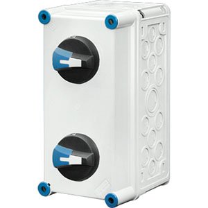 Hensel Mi Lastschakelaarkast IP65. 2x40A. 4 polig. BM1. 150x300mm. +PE klem - 20001131 etim internet - 20011083