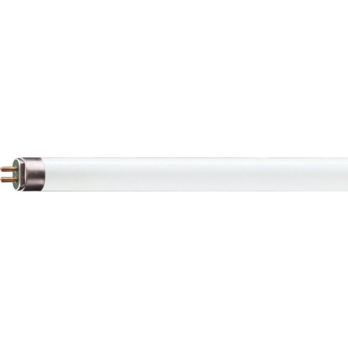 PHILIPS TL5 HE buis 21w/84 - 20231213062838346 413240317 - 9319894
