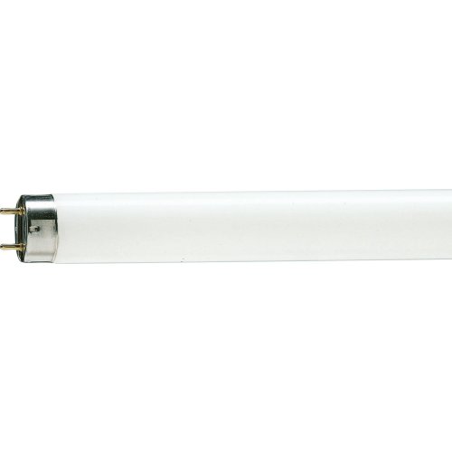 PHILIPS tlbuis 18w/965 - 20240321171006018 1787248271 - 9008552