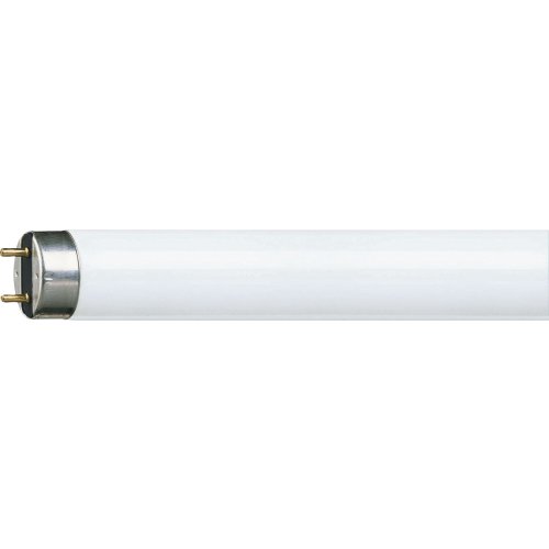 PHILIPS tlbuis 36w/865 daglicht - 20240321171107956 223887344 - 9009398