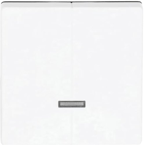 ABB Busch-Jaeger toets v seriedimmer 6565U f-matwit - 21d448ab305a0b5f95a4594e790ba49d - 20090845