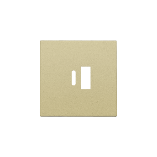Niko Afwerkingsset voor dubbele smart USB-A- en USB-C-lader, gold coated - 221 68002 foto - 20055646