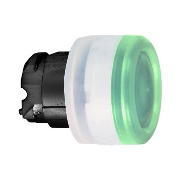 Schneider Electric Kop voor verlichte drukknop &Oslash;22mm, Groen - 2bfb942751498c4028407e5e5ea65ed1 - 20085370