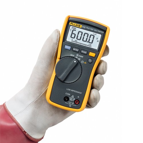 FLUKE multimeter met meetsnoeren 113 EUR - 3088053 - 4250373