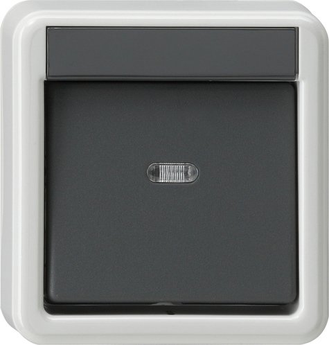 GIRA opbouwschakelaar 2-polig met controle lamp 010235 - 387fcab83fa69ea498051cbe0a072bdf - 11001243