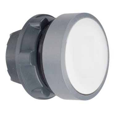 Schneider Electric white flush pushbutton head colour plated grey - 3d85a068384c506ed87f63aff28701bd - 20085646