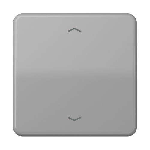 Jung LB taster CD 1v stand. grijs pijl - 4011377004955 - 20017722