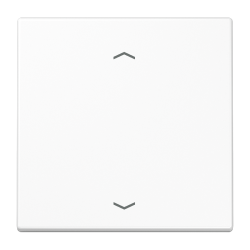 Jung Schakelwip LS990 alpin wit pijlsymbool - 4011377008458 - 20019692