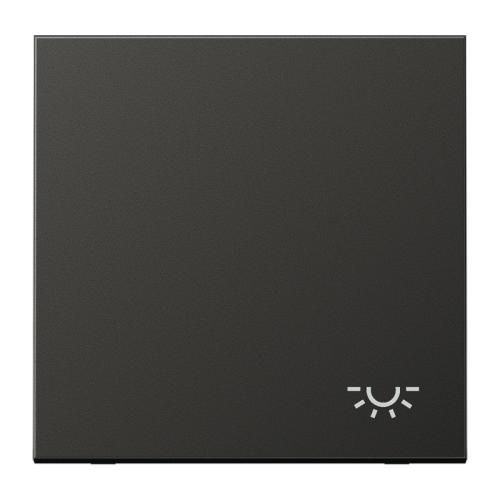 Jung Schakelwip LS-antraciet met symb. Licht - 4011377012097 - 20016772