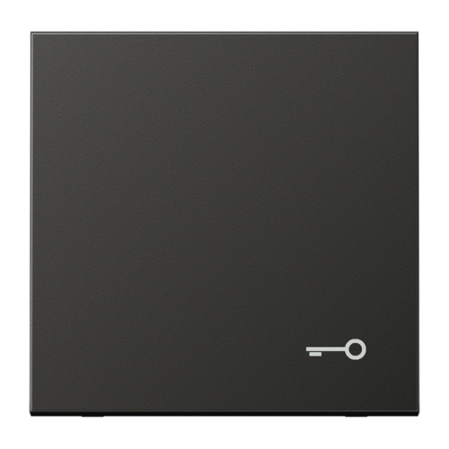 Jung Schakelwip LS-antraciet m.symb. Sleutel - 4011377012110 - 20016787