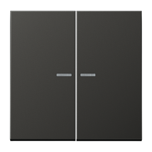 Jung Schakelwip LS-antraciet serie controle - 4011377012141 - 20016803