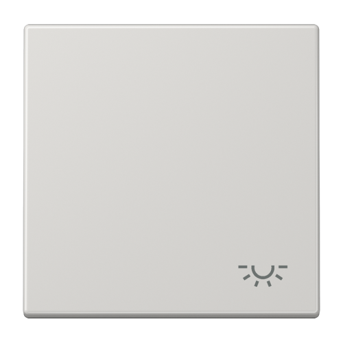 Jung Schakelwip LS990 li.grijs m.symb. Licht - 4011377018853 - 20019669