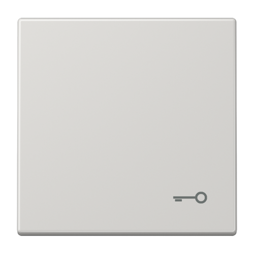 Jung Schakelwip LS990 li.gr.m. symb. Sleutel - 4011377018952 - 20019703