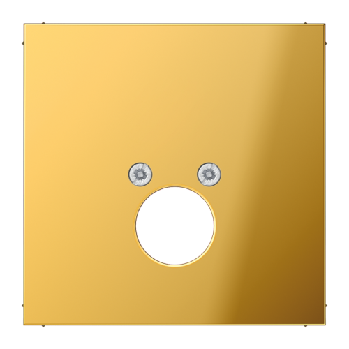 Jung Afdekking LS-goud kleurig v. BNC en L2S - 4011377025943 - 20018822