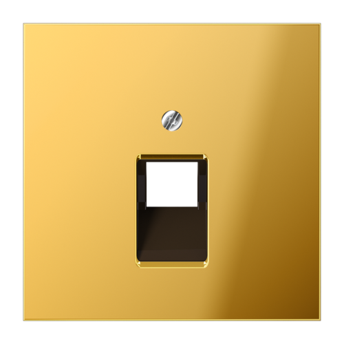 Jung Afdekking LS-goud kl.v.UAE data 1-vdg. - 4011377025998 - 20018824