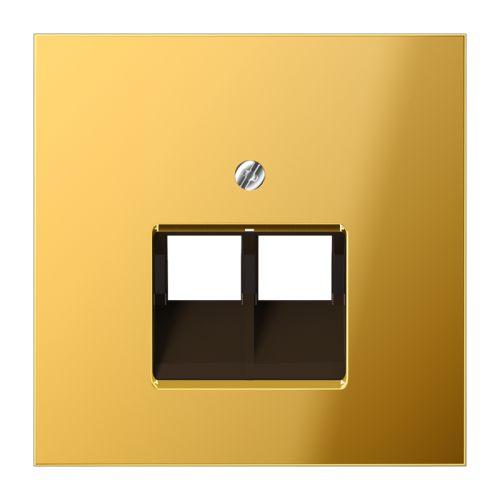 Jung Afdekking LS-goud kl.v.UAE data 1-vdg. - 4011377026025 - 20018825