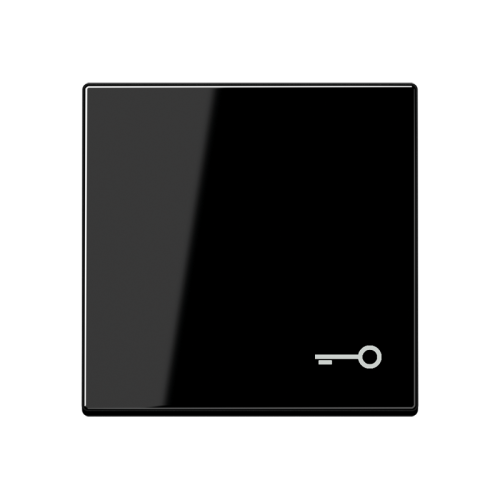 Jung Schakelwip A500 zwart met symb. sleutel - 4011377028005 - 20016137