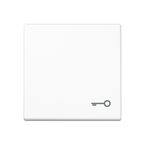 Jung Schakelwip A500 alp.wit symbool sleutel - 4011377031456 - 20016139