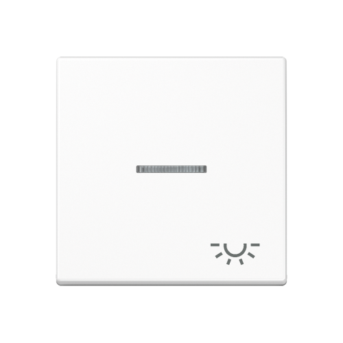 Jung Schakelwip A500 a.wit m.lens&symb licht - 4011377043886 - 20016103