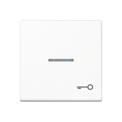 Jung Schakelwip A500 a.wit m.lens&sym.sleutel - 4011377043954 - 20016111